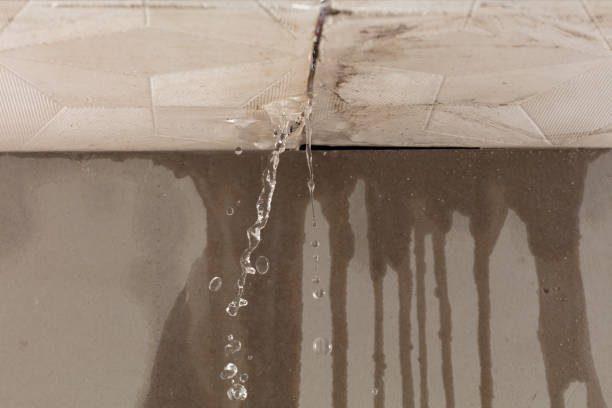 Professional Structural Drying technician working in Norwood, OK